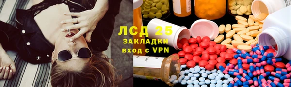 PSILOCYBIN Бородино