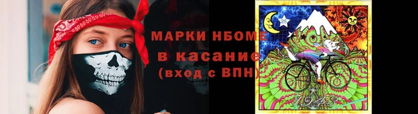 PSILOCYBIN Бородино