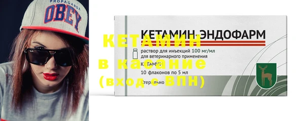ГАЛЛЮЦИНОГЕННЫЕ ГРИБЫ Кулебаки