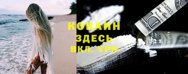 мяу мяу мука Бугульма