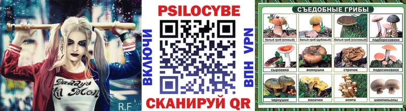 Псилоцибиновые грибы прущие грибы  наркошоп  мега ссылка  Мещовск 